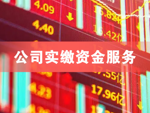 大连公司实缴资金服务